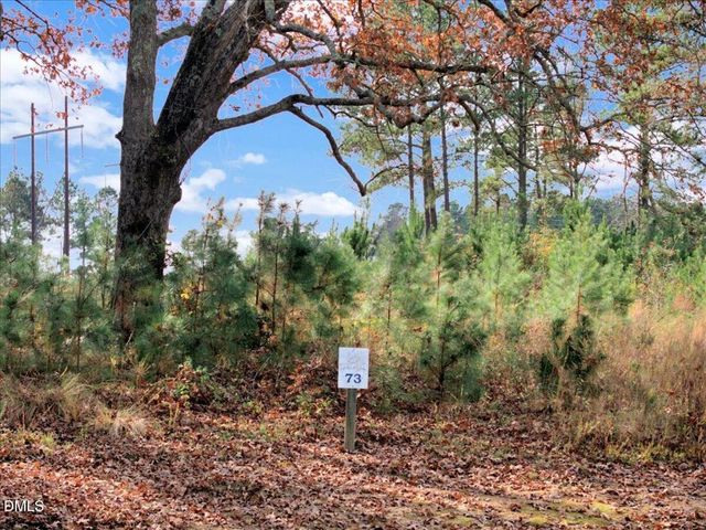 73 Pinnacle Shores Drive, Macon, NC 27551