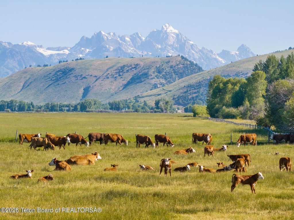 120 ACRES SOUTH PARK LOOP RD, Jackson, WY 83001 photo 23