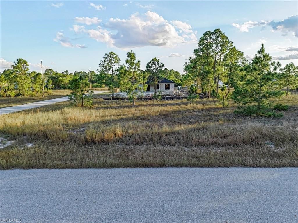 1118 Orient ST E, LEHIGH ACRES, FL 33974 — exterior