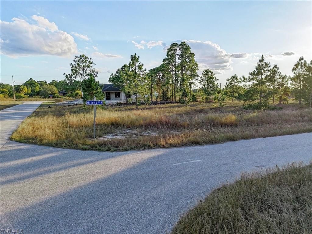 1118 Orient ST E, LEHIGH ACRES, FL 33974 — photo 2