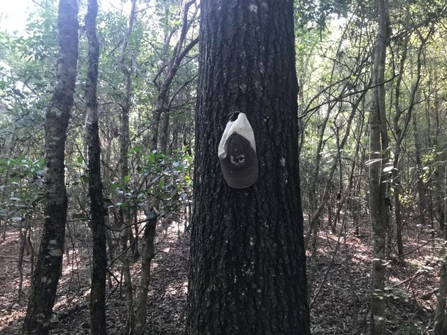 010 Thomas Richard Ln., Hattiesburg, MS 39401