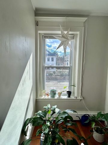 805 Washington Street 2, Brookline, MA 02446