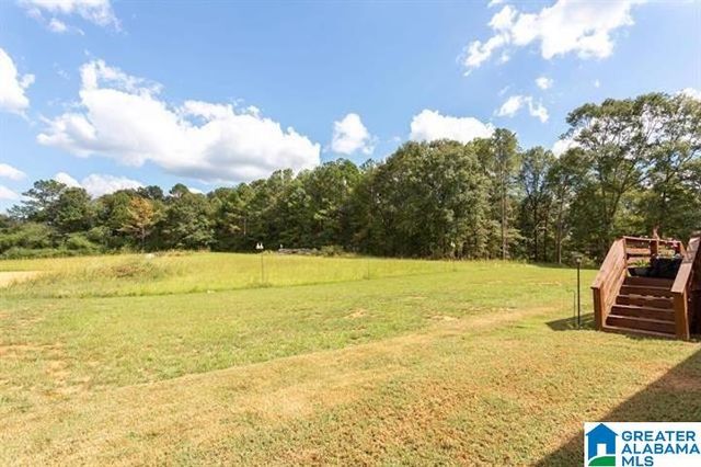 250 SAINT SMITH CIRCLE, Cropwell, AL 35054