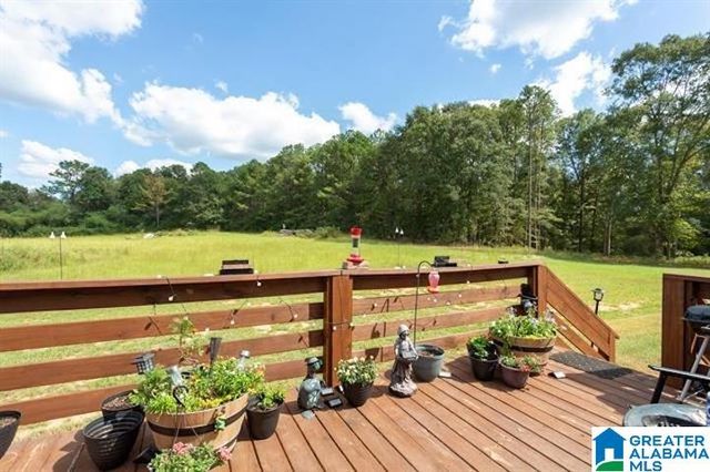250 SAINT SMITH CIRCLE, Cropwell, AL 35054