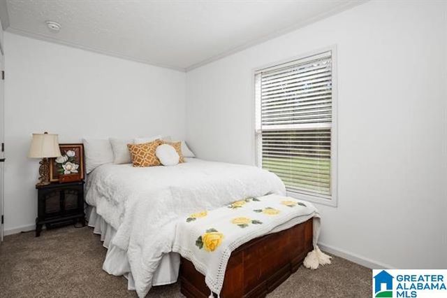 250 SAINT SMITH CIRCLE, Cropwell, AL 35054