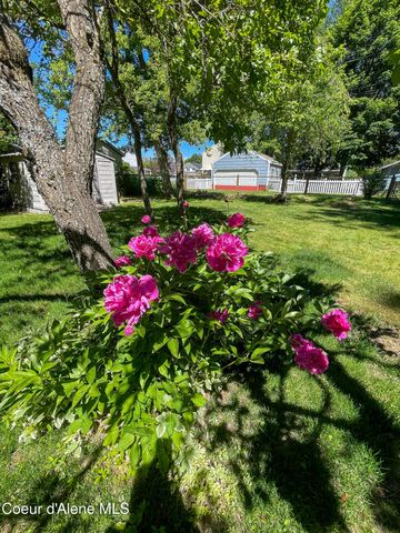 509 Olive Ave, Sandpoint, ID 83864