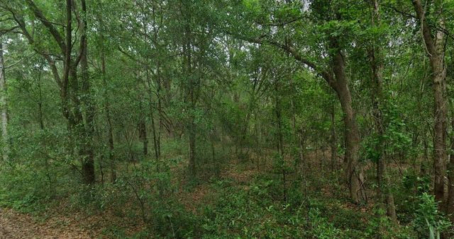 8856 N HIMALAYAS POINT, Dunnellon, FL 34433