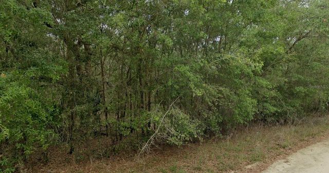 8856 N HIMALAYAS POINT, Dunnellon, FL 34433