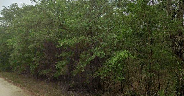 8856 N HIMALAYAS POINT, Dunnellon, FL 34433