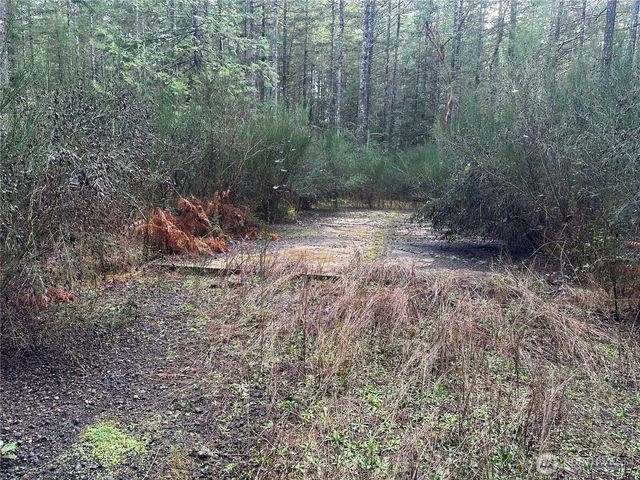 0 Willchar Boulevard, Shelton, WA 98584