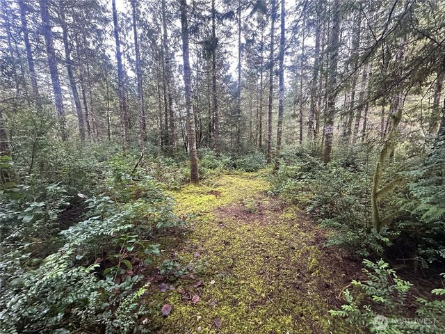 0 Willchar Boulevard, Shelton, WA 98584