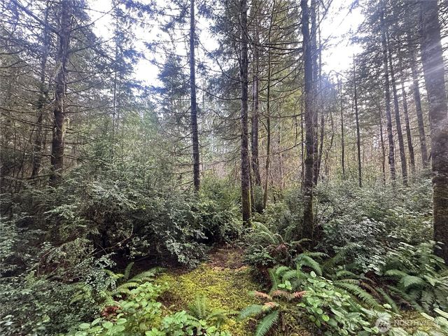 0 Willchar Boulevard, Shelton, WA 98584