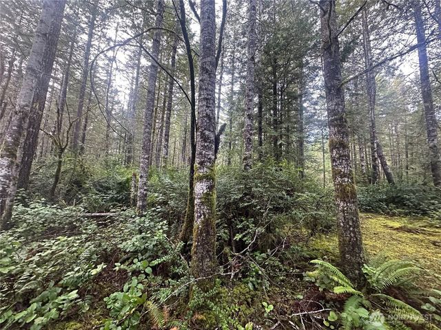 0 Willchar Boulevard, Shelton, WA 98584