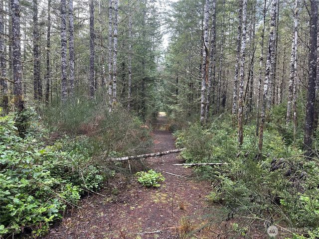 0 Willchar Boulevard, Shelton, WA 98584