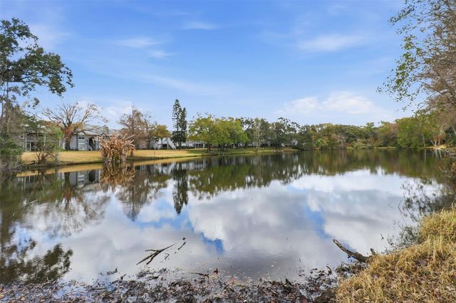 11808 RAINTREE LAKE LANE C, Tampa, FL 33617