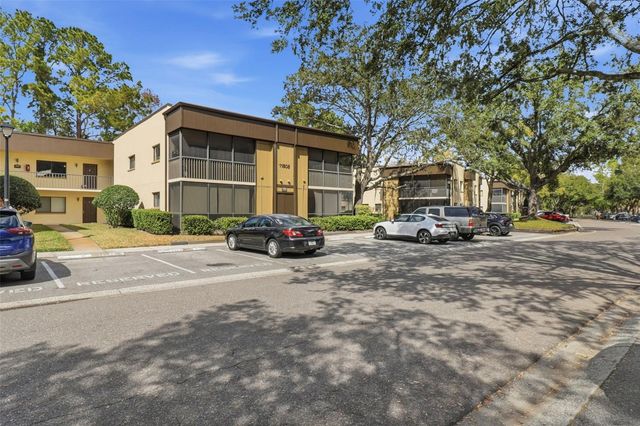 11808 RAINTREE LAKE LANE C, Tampa, FL 33617