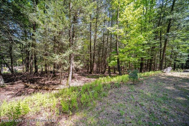 33 Mamoud Hills Road, Kingston, NY 12401