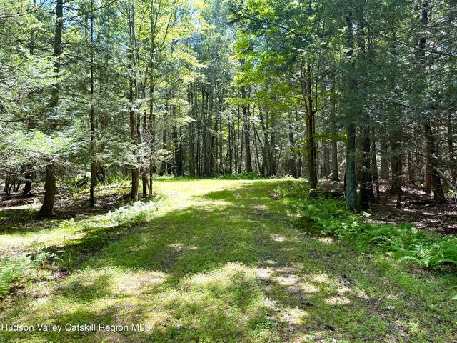 33 Mamoud Hills Road, Kingston, NY 12401