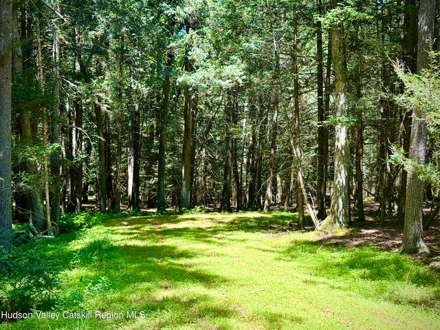 33 Mamoud Hills Road, Kingston, NY 12401