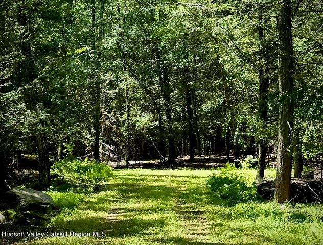 33 Mamoud Hills Road, Kingston, NY 12401