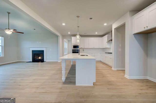 608 Button Grove, Hampton, GA 30228
