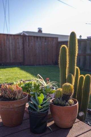 3276 Andora Drive, San Jose, CA 95148