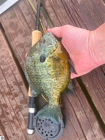 9561 Peterson Drive, Cadillac, MI 49601