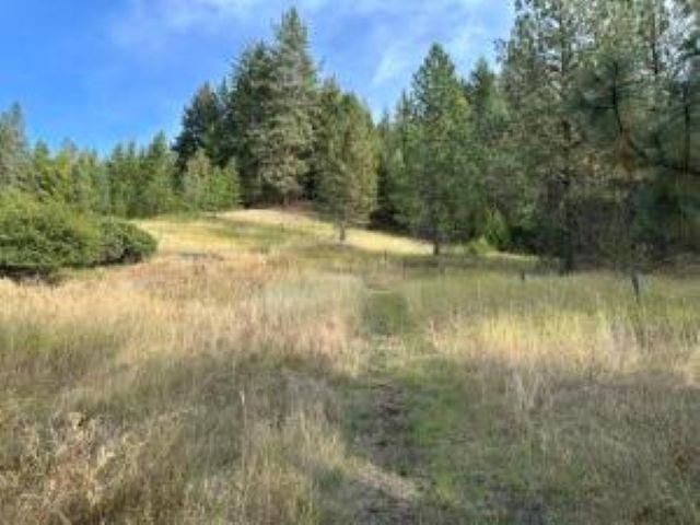 16XX N HWY 25 Hwy, Evans, WA 99126 property photo