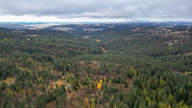 0 N Mt Carlton APN 47131.9081 Rd, Mead, WA 99021 property photo