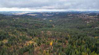 0 N Mt Carlton APN 47131.9081 Rd, Mead, WA 99021