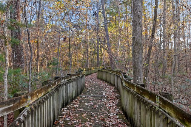 3031 Ellington Drive, Summerville, SC 29485