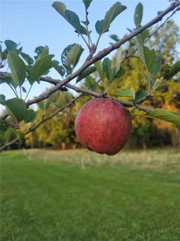 28605 E 239th Street, Harrisonville, MO 64701