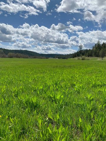 4681 Springdale Hunters Rd, Springdale, WA 99173