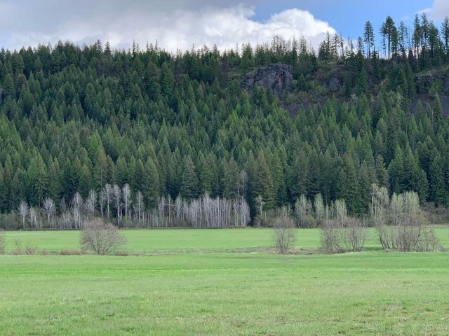 4681 Springdale Hunters Rd, Springdale, WA 99173