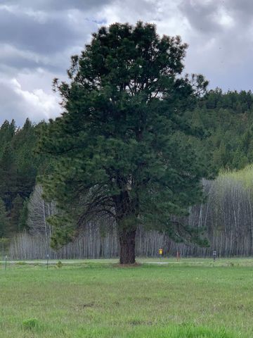 4681 Springdale Hunters Rd, Springdale, WA 99173