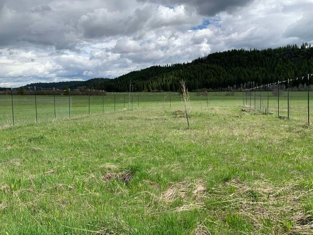 4681 Springdale Hunters Rd, Springdale, WA 99173