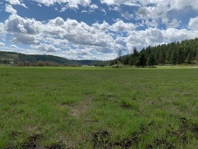 4681 Springdale Hunters Rd, Springdale, WA 99173