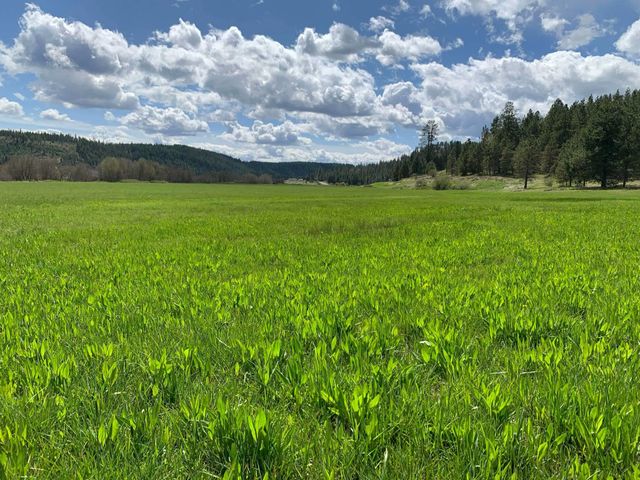 4681 Springdale Hunters Rd, Springdale, WA 99173