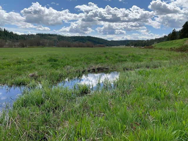 4681 Springdale Hunters Rd, Springdale, WA 99173