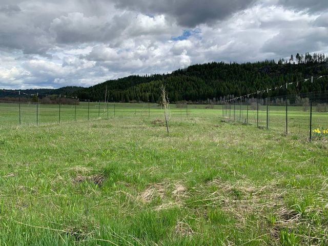 4681 Springdale Hunters Rd, Springdale, WA 99173