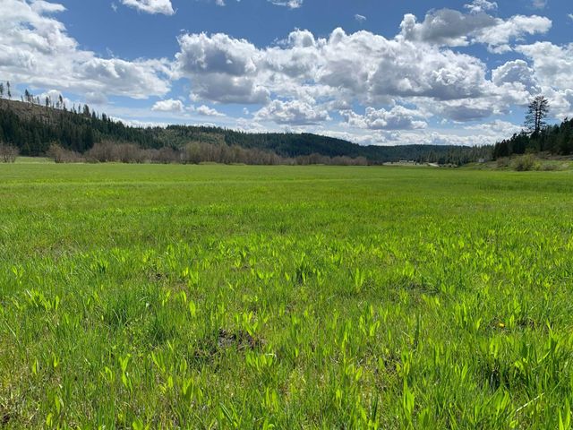 4681 Springdale Hunters Rd, Springdale, WA 99173