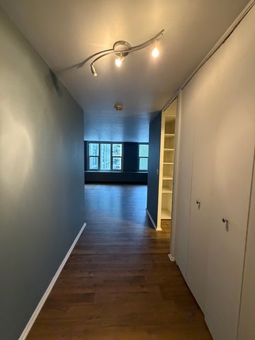 400 E Randolph Street 3522, Chicago, IL 60601