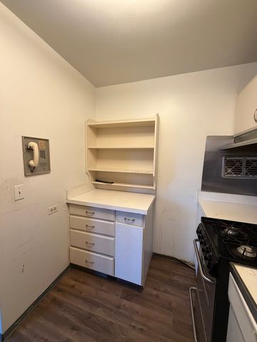 400 E Randolph Street 3522, Chicago, IL 60601