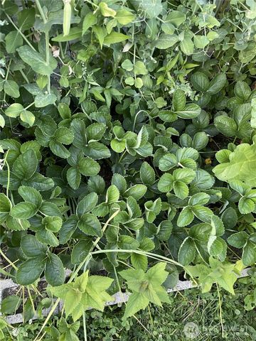 8365 Golden Valley Boulevard, Maple Falls, WA 98266