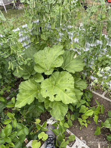 8365 Golden Valley Boulevard, Maple Falls, WA 98266