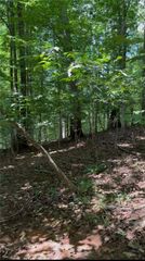 2291 Autumn Drive, Gainesville, GA 30507