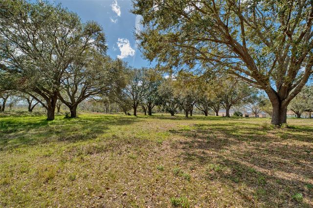ROYAL PALM DR, Groveland, FL 34736
