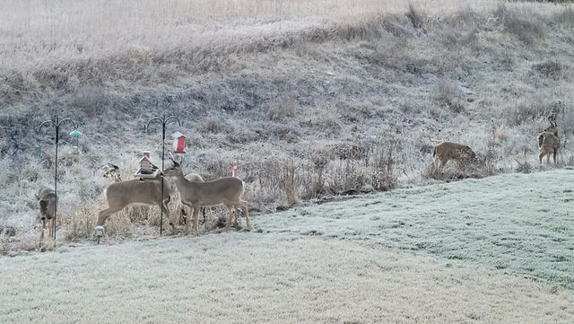 2103 26th Avenue SW, Altoona, IA 50009