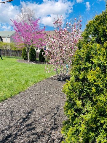 1331 Windsor Drive, Beavercreek, OH 45434