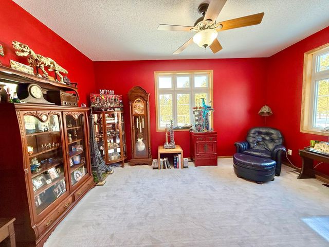 29701 Buffalo Run, Rochert, MN 56578